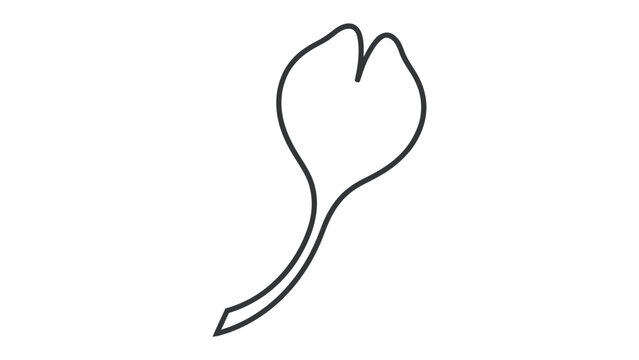 Ginkgo Leaf Outline: A simple, elegant line drawing of a single ginkgo leaf, showcasing its distinctive bilobed shape and delicate stem.