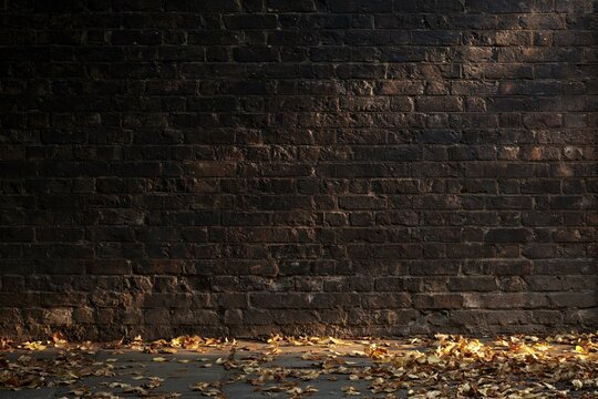Dark weathered brick wall with rich textured surface and deep shadows, warm directional light glinting on irregularities, scattered golden autumn leaves on concrete ground below