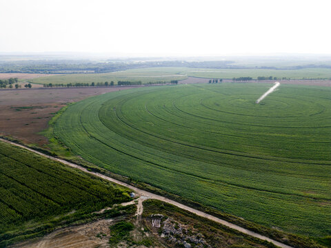 Aerial View of Circular Irrigated Agricultural Field Near Curbe, Huesca, Spain