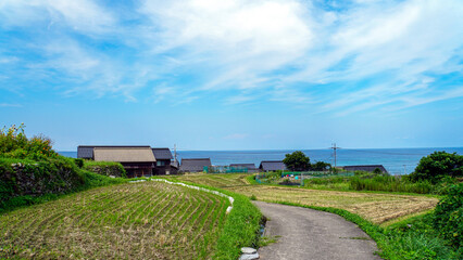 刈り入れが終わった段々畑の向こうに広がる青い海 © ToYoPHoTo