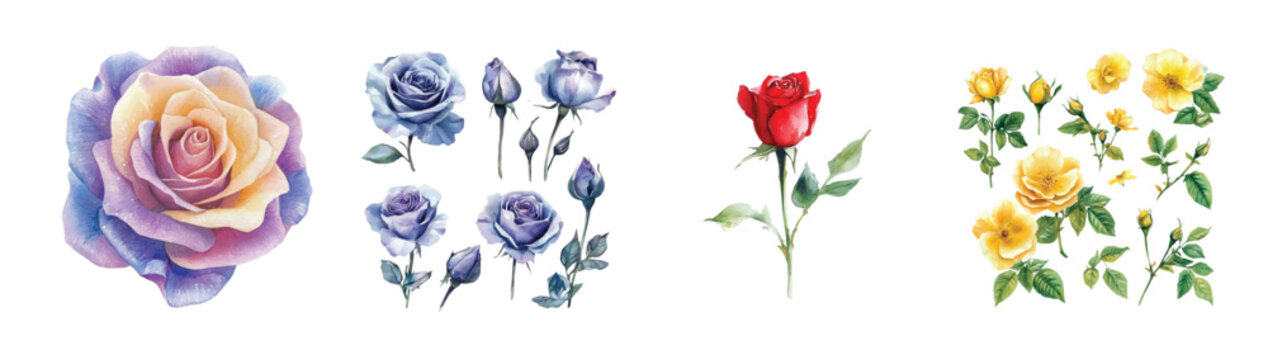 Art: Minimal yet artistic elements for creative designs. Hand-drawn paint isolated on a white background, Simple Illustration, A creative painting of rose flower set, EPS format 