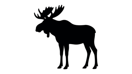Fototapeta premium Silhouette of a Majestic Moose: A striking black silhouette of a large moose, complete with impressive antlers, stands proudly against a clean white background.