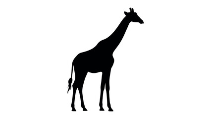 Silhouette of a Giraffe: A striking black silhouette of a majestic giraffe stands tall, its long neck and distinctive shape clearly defined against a clean background. © Ariqa