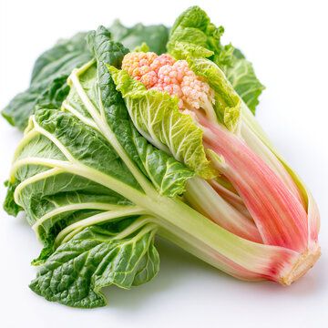Fresh flowering chinese cabbage vegetable isolated on a white