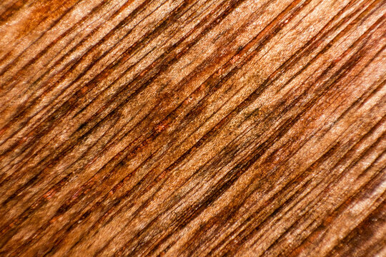 Abstract pattern of wood grain texture with rich brown and orange tones, ideal for natural backgrounds