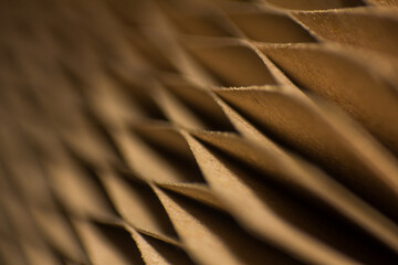 Obraz premium Close up view of brown corrugated cardboard sheets showing textured geometric layers and abstract patterns