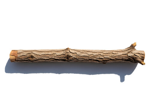 Close-up of rustic wooden log with traditional hand-forged axe resting on white background