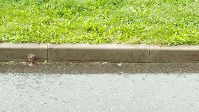 Rain falls onto a wet asphalt street and concrete curb beside green grass. The heavy downpour splashes in puddles. This dreary, melancholic environment feels quiet, lonely, and peaceful.