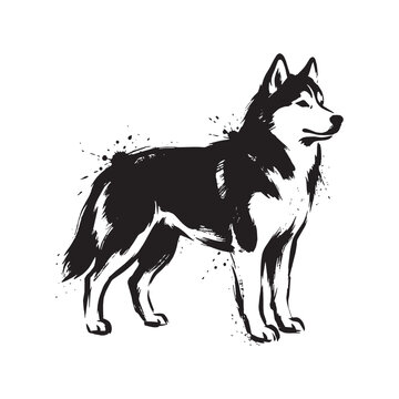 Minimalist Sumi-e ink wash painting of a majestic Siberian Husky dog with artistic brush strokes on a white background