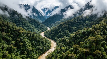Obraz premium Muddy river carves through dense jungle valley in misty mountains. Overcast sky hangs above lush green rainforest canopy. Aerial perspective reveals untouched wild nature and remote topography.