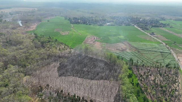 Aerial drone view of forest fire smoke rising from a burning patch in a dry teak woods next to lush green agricultural rice fields and a rural village.