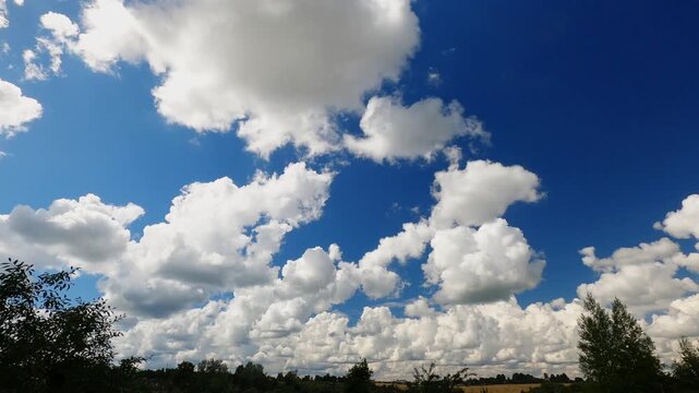 Expansive Blue Summer Sky With Moving White Cumulus Clouds and Low Horizon, Natural Weather Background