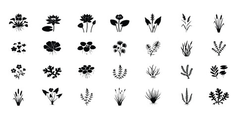 Fototapeta premium Set of black aquatic plant silhouettes and seaweed icons isolated on white background vector illustration.