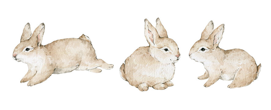Cute watercolor rabbits, bunnies isolated on white