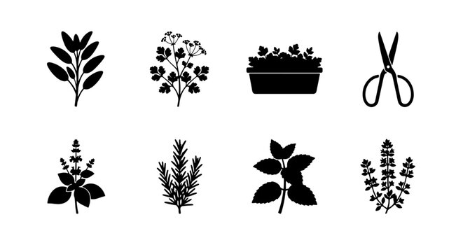 Herbal Plant Icons, Culinary Herb Collection, Garden Pot & Scissors Vector Set, Black & White Botanical Graphics