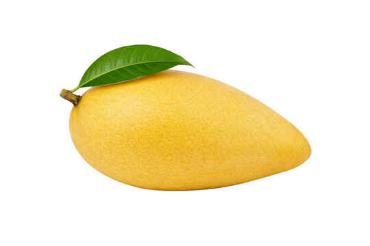 Whole ripe yellow mango with leaf isolated PNG, fresh sweet tropical mango fruit on transparent background, organic food mockup