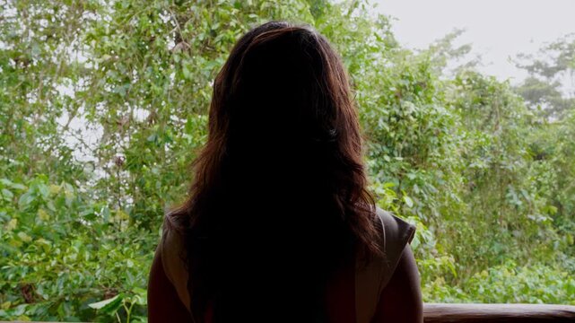 Silhouette of a figure watching a rainy forest from a balcony