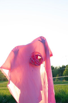  Mixing nature and manmade material. Pink plastic on soft sunlight