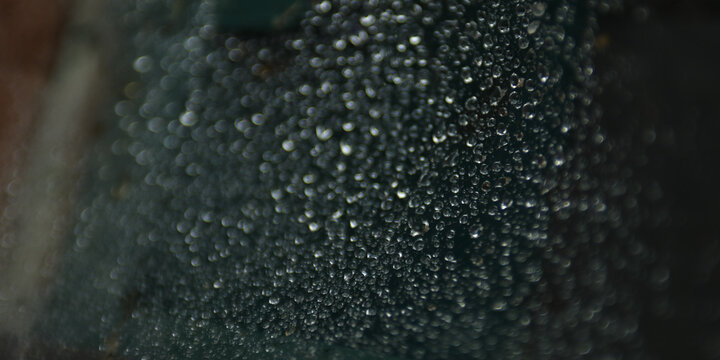 Rainy Day Spider Web