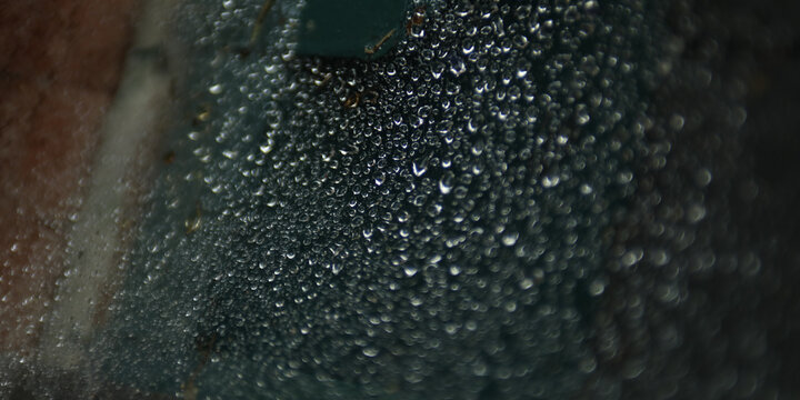 Rainy Day Spider Web