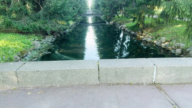 A narrow canal flows between dense pine trees toward a small bridge in Catherine Park, Saint Petersburg. The still water reflects light, creating a peaceful mood. The quiet woods evoke calm and wonder