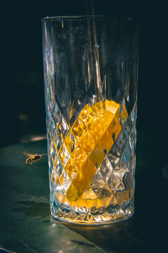glass of whiskey
