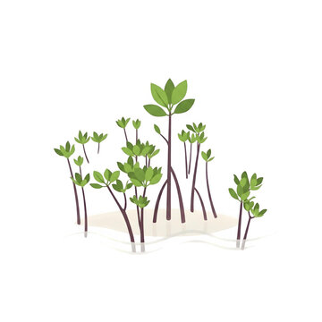 Simple Flat Vector Illustration of Young Mangrove Seedlings