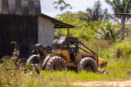 Old yellow logging skidder parked in a rural Brazilian farm yard surrounded by tropical foliage