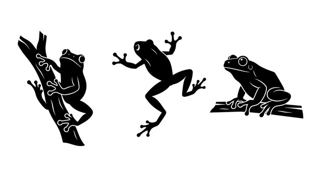 Three black frogs in different poses on branches