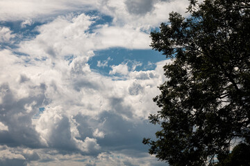Cirrus clouds drift across a bright blue sky © Romain