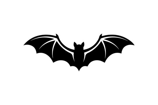 bat and bats