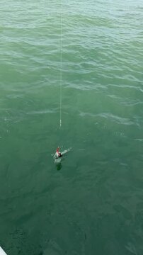 Freshly caught pollock is pulled from Pacific Ocean on fishing line near Kamchatka coast. Recreational fishing, local catch, marine lifestyle, outdoor adventure, fishing tourism