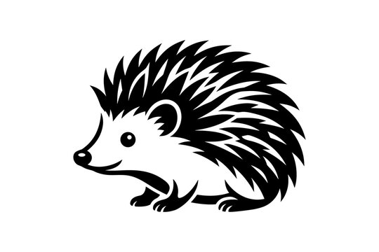 hedgehog vector illustration