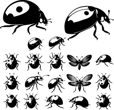 Simple Ladybug Silhouette Isolated Insect Shape Minimal Black Vector Illustration