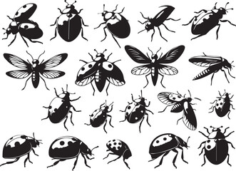 Fototapeta premium Simple Ladybug Silhouette Shape Isolated on White Background