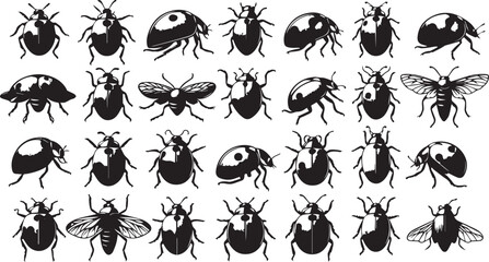 Fototapeta premium Simple Ladybug Silhouette Shape Isolated on White Background
