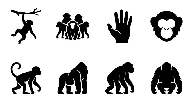 Primate Icons Collection: Gorilla, Chimpanzee, Orangutan Silhouettes, Monkey Hanging on Branch, Group of Monkeys, Hand Gesture, Vector Graphics for Wildlife, Zoo, and Nature Themes
