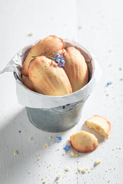 Tasty Madeleine cookies served as French treats.