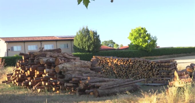 Stacked firewood and log pile in a rural landscape