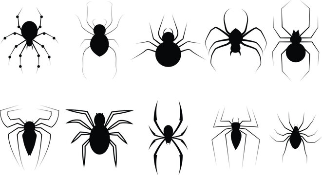 set vector spider silhouettes icon. tarantula. widow spiders. Halloween spider symbol design template illustration