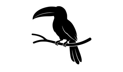 Fototapeta premium SEO Title: Toucan Tropical Bird Black Silhouette Vector Illustration Exotic Jungle Bird Perched Profile Isolated on White Background