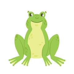 Naklejka premium Green frog in sitting pose. Wild aquatic fauna, water amphibian vector illustration