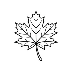Fototapeta premium Stylized Maple Leaf Outline Line Art Vector Icon Illustration Drawing