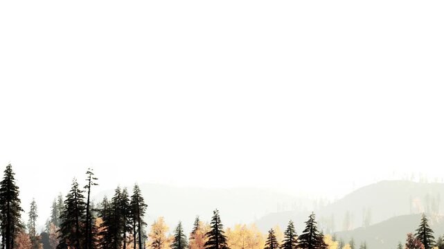 Tall trees with autumn leaves stand in a forest with mountains in the background. The sky is light and the surroundings have a soft appearance during daytime.