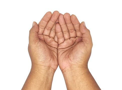 Two cupped empty open hands raised together isolated.