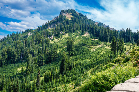 Chinood Pass Viewpoint Hill 2