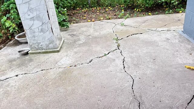 Cracked concrete courtyard with deep branching fractures, weathered surfaces, and a drainpipe by the wall. Outdoor residential setting showing aging pavement and natural wear today.