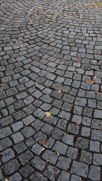 Vertical screen old cobblestone pavement forms curved patterns of weathered gray stones with scattered autumn leaves creating a textured historic European street surfaces
