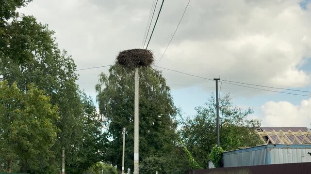 A large bird nest sits atop a utility pole surrounded by green trees under a cloudy sky. This quiet scene creates a lonely, tranquil, and atmospheric mood.