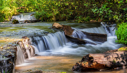 Multiple cascading waterfalls on forest stream, long exposure over rocks and fallen logs